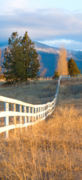 Wooden fence in a rural scene